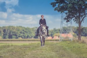 Paardrijden in de Vlaamse Ardennen